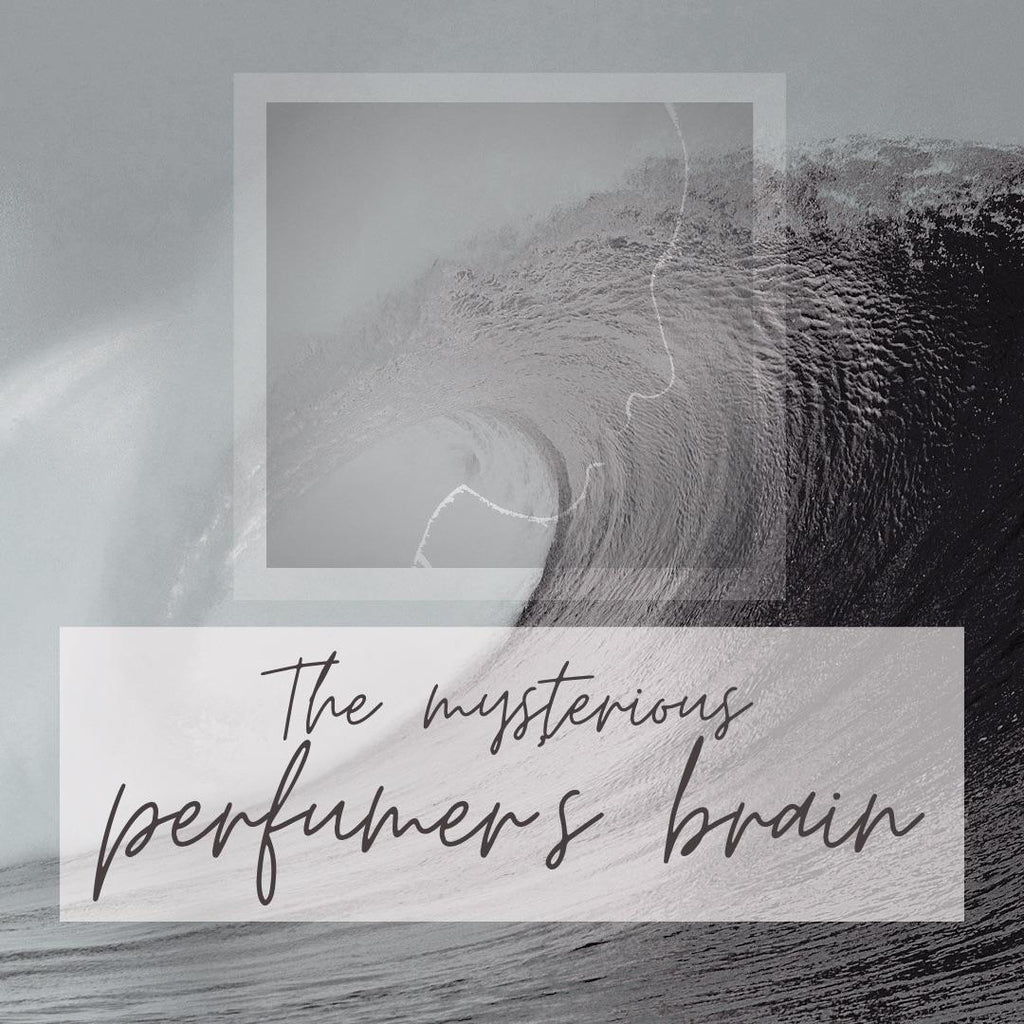 The Mysterious Brain of a Perfumer