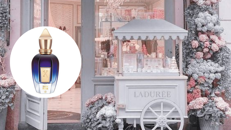 Xerjoff JTC Shunkoin EDP - Sweet Puff Dreams | Scentrique Xerjoff JTC Shunkoin EDP - Sweet Puff Dreams | Scentrique