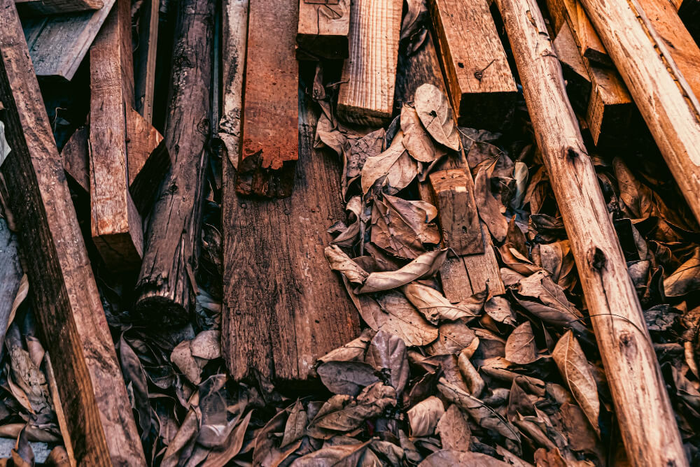 Beyond Santal 33: The Best Dry & Modern Woody Fragrances