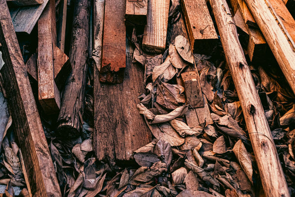 Beyond Santal 33: The Best Dry & Modern Woody Fragrances