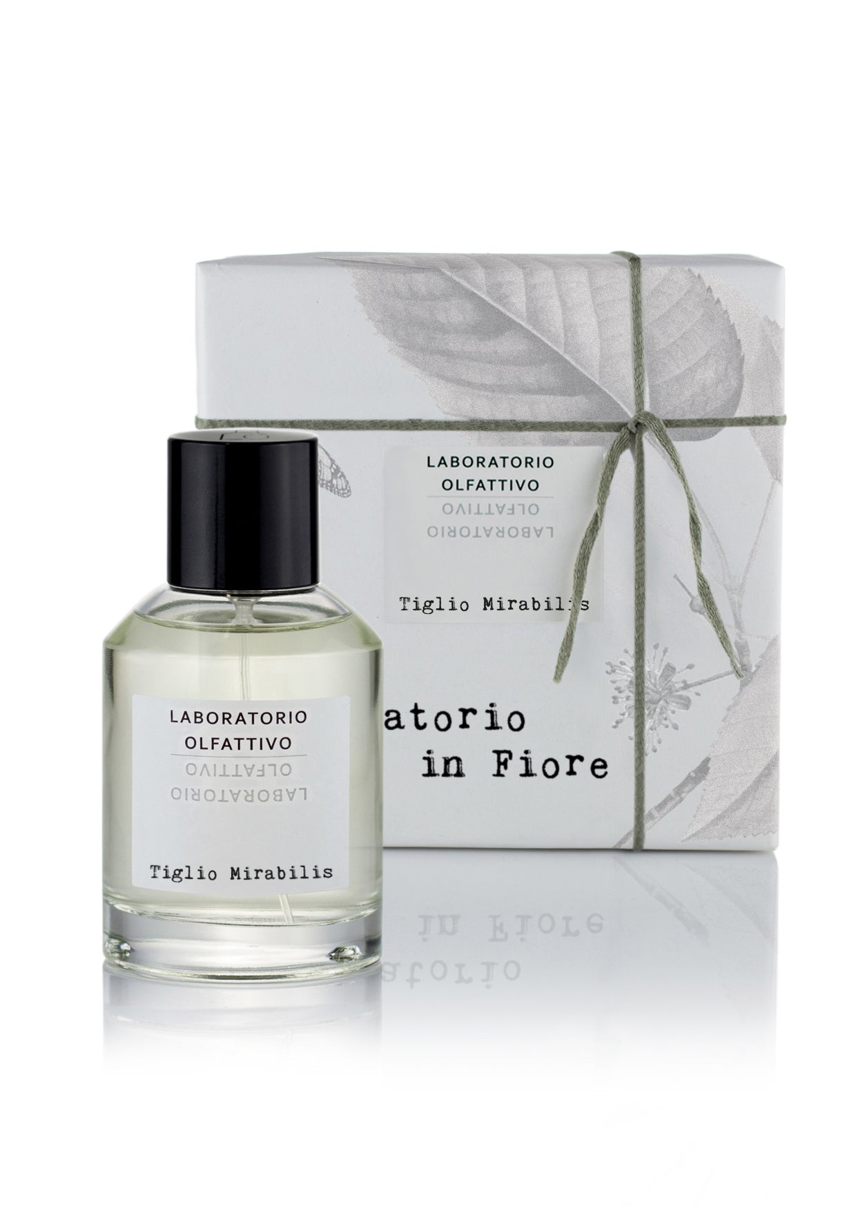Tiglio Mirabilis by Laboratorio Olfattivo | Scentrique Niche