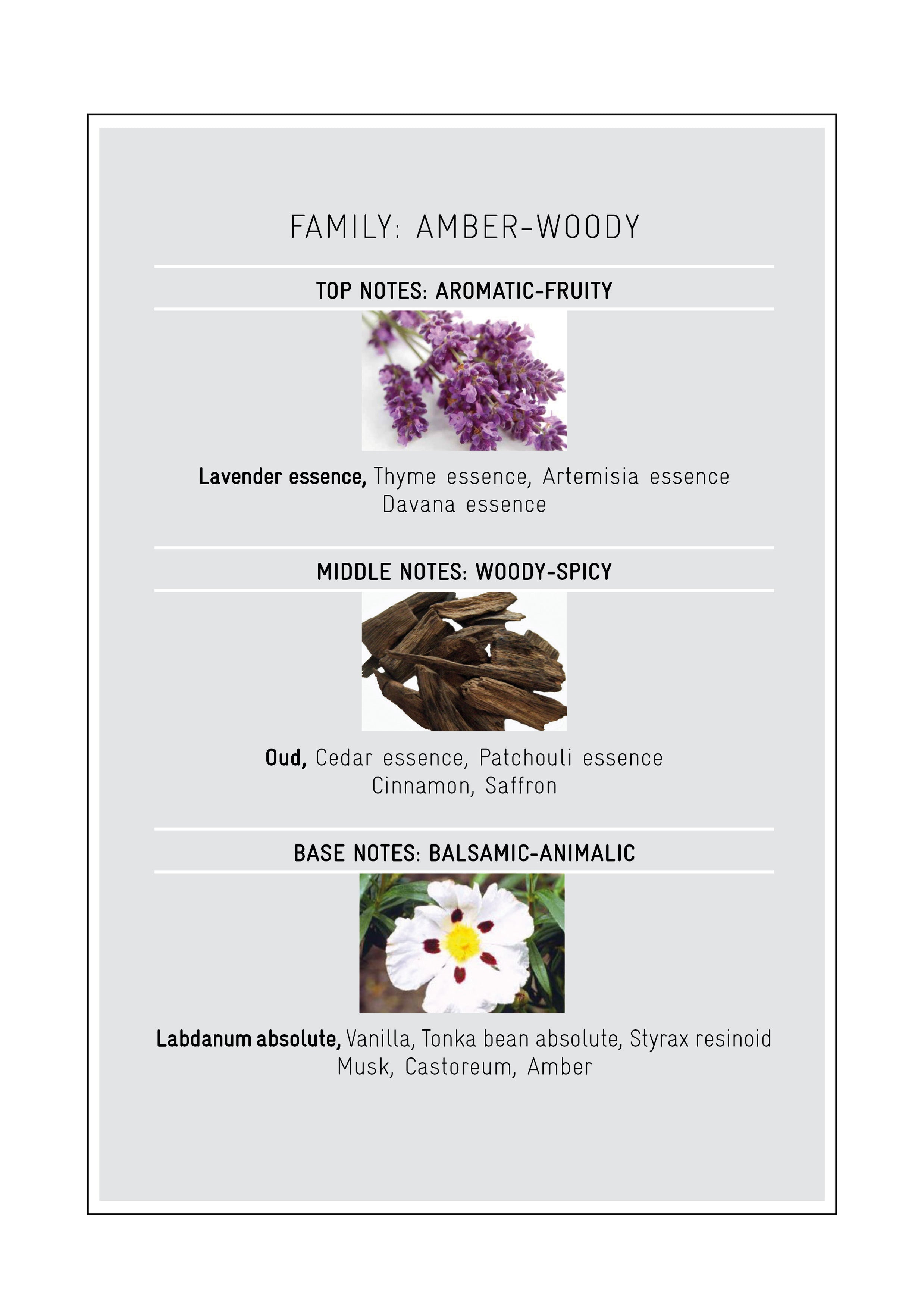 Amber Oud by NICOLAI Paris Scentrique Niche Perfumes