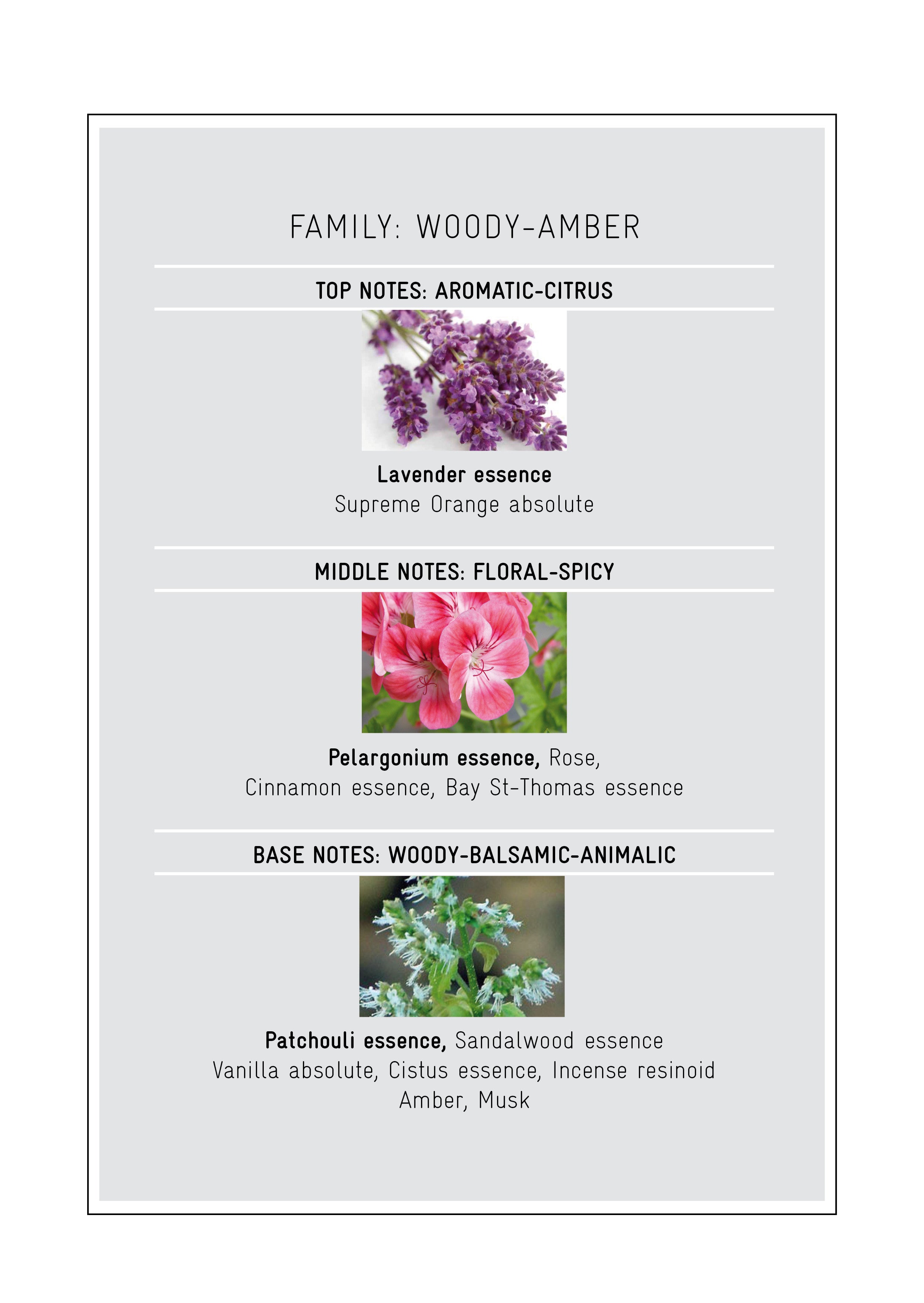 Patchouli Intense By NICOLAI Paris | Scentrique Niche Perfumes