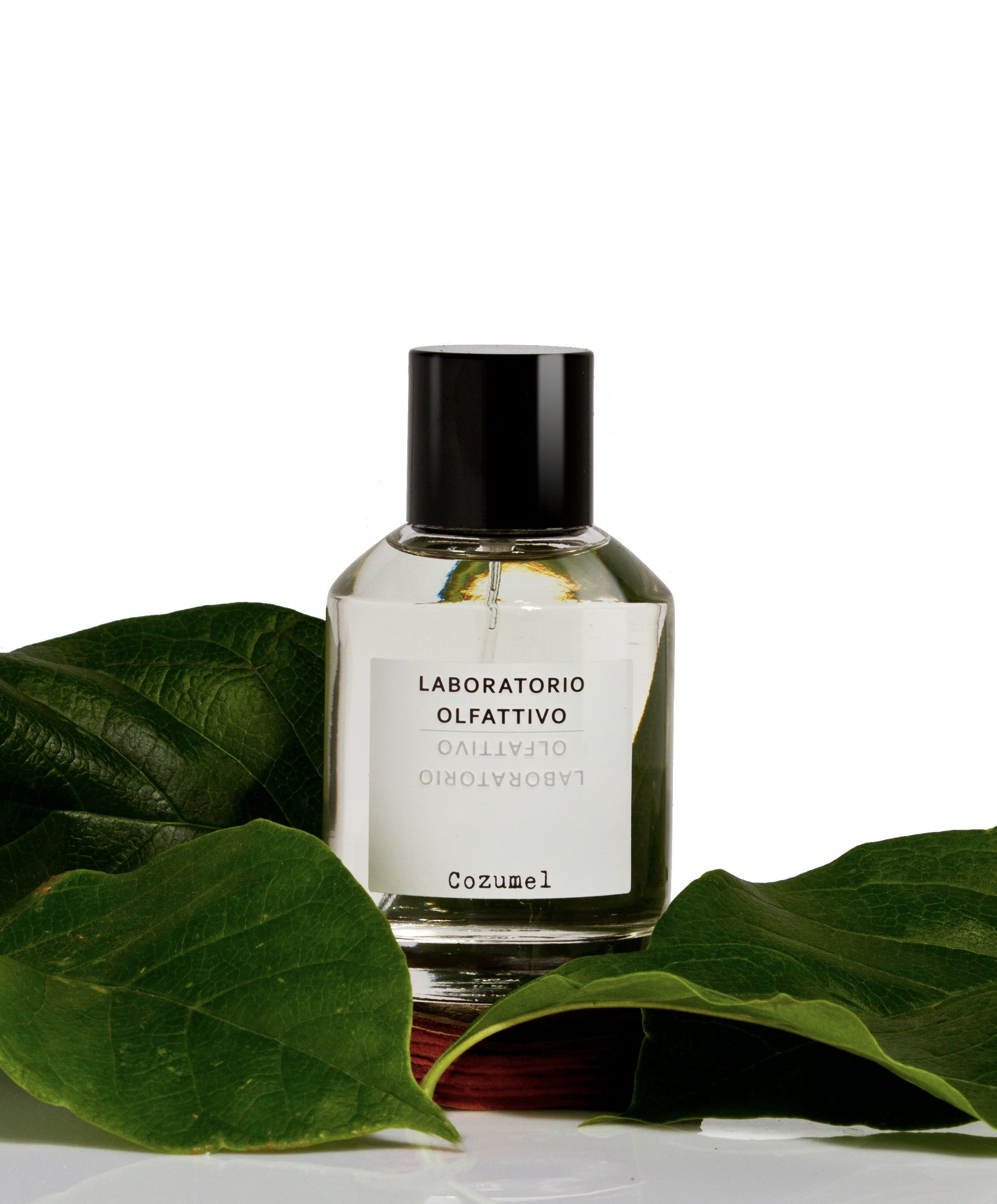Cozumel EDP by Laboratorio Olfattivo | Scentrique Niche Perfumes