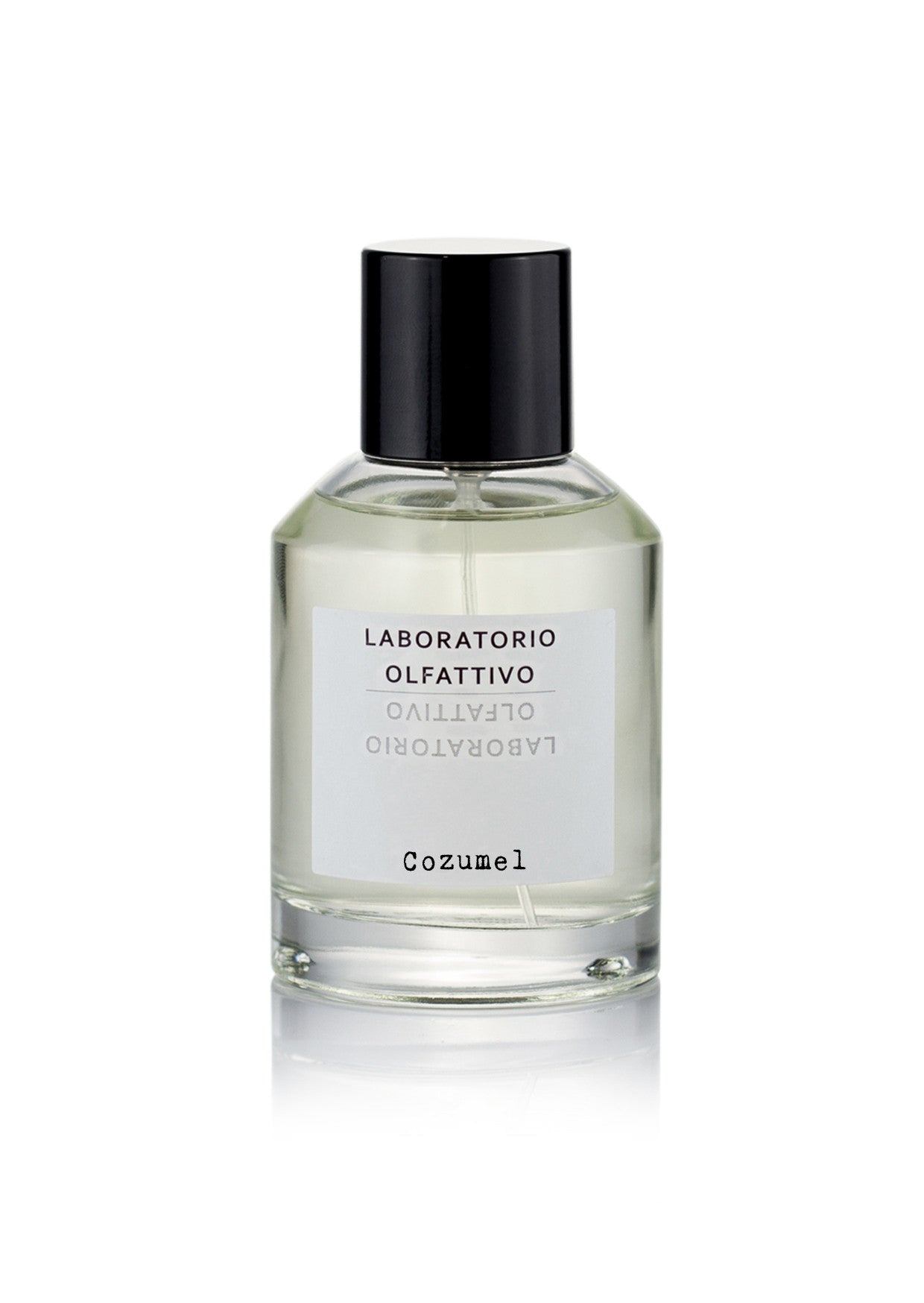 香水(ユニセックス) LABORATORIO OLfattivo Cozumel 100ml EDP Cozumel EDP by Laboratorio Olfattivo | Scentrique Niche Perfumes