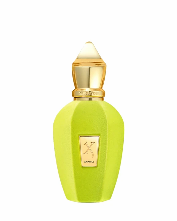 Xerjoff "V" Amabile EDP 50ml | Scentrique Niche Perfumes